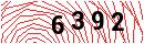 Security Verification