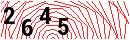Security Verification