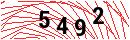Security Verification
