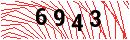 Security Verification