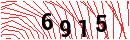 Security Verification