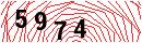 Security Verification