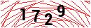 Security Verification