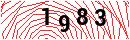 Security Verification
