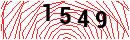 Security Verification