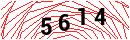 Security Verification