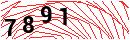 Security Verification