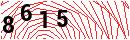 Security Verification