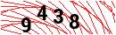 Security Verification