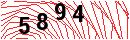 Security Verification