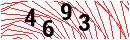 Security Verification
