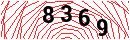 Security Verification