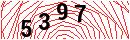Security Verification