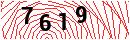 Security Verification