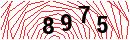 Security Verification