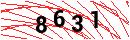 Security Verification
