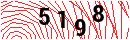Security Verification