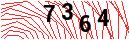 Security Verification