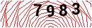 Security Verification