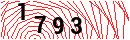 Security Verification
