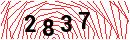 Security Verification