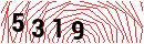 Security Verification