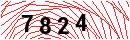 Security Verification