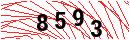 Security Verification