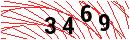 Security Verification