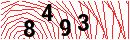 Security Verification