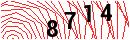 Security Verification