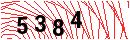 Security Verification