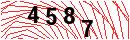 Security Verification