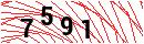 Security Verification