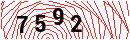 Security Verification