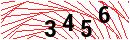 Security Verification