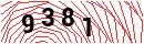 Security Verification