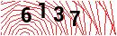 Security Verification