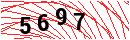 Security Verification