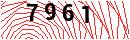 Security Verification