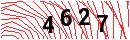 Security Verification