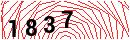 Security Verification