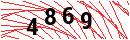 Security Verification