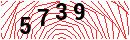 Security Verification