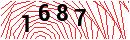 Security Verification