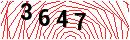 Security Verification