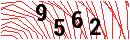 Security Verification