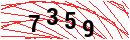 Security Verification