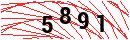 Security Verification