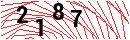 Security Verification